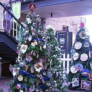 Academy of Art University Partners with Ghirardelli Square for Christmas Tree Stroll