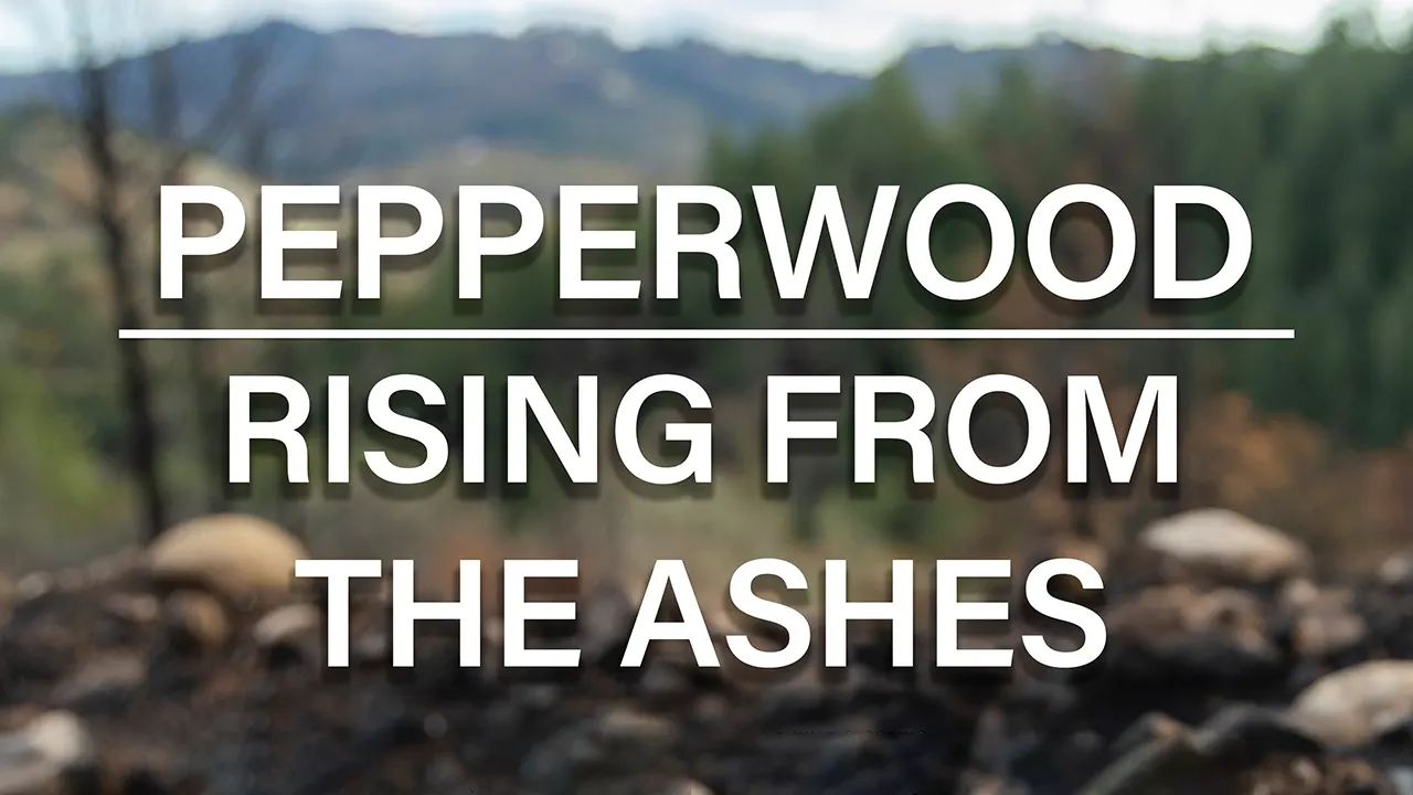 Pepperwood: Rising from the Ashes Banner