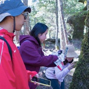 Landscape Architecture Degree Students Explore Nature High Above the Bay
