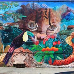 Urban Jungle